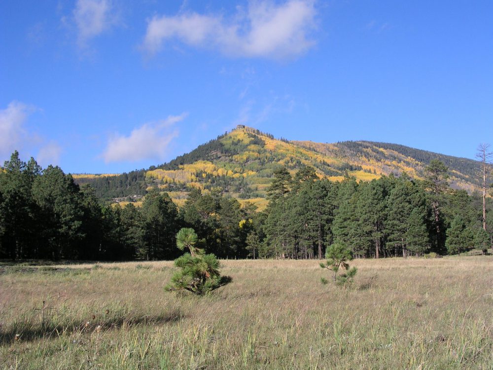 Southwest Forest Assessment Project