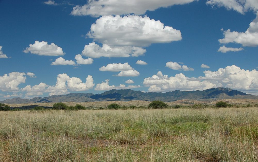 Las Ciénegas Adaptive Management