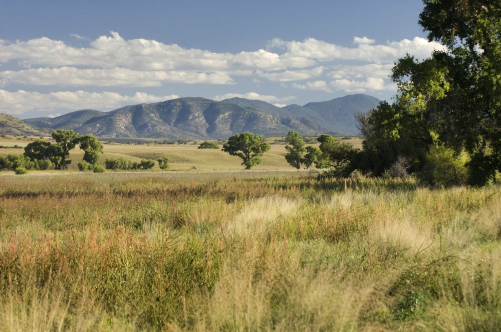 Southwest Grasslands